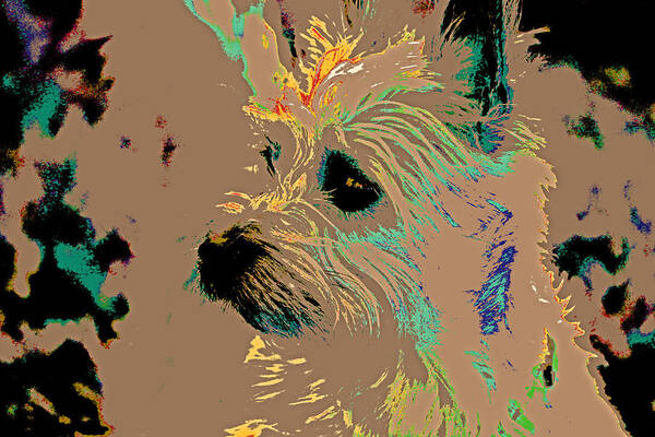 Cairn Terrier Poster featuring the photograph The Terrier by Lynn Sprowl