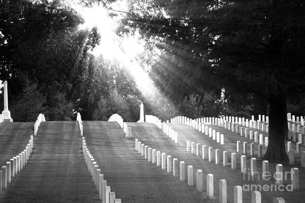 Landscape Poster featuring the photograph The Unknown Soldiers by Ms Judi