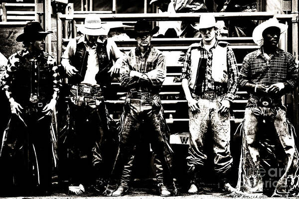 Rodeo Poster featuring the photograph The Usual Suspects by Lincoln Rogers