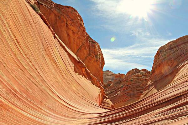 The Wave Poster featuring the photograph The Wave Rock #1 by Steve Natale