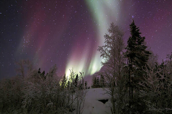 Aurora Borealis Poster featuring the photograph The Wave by Valerie Pond