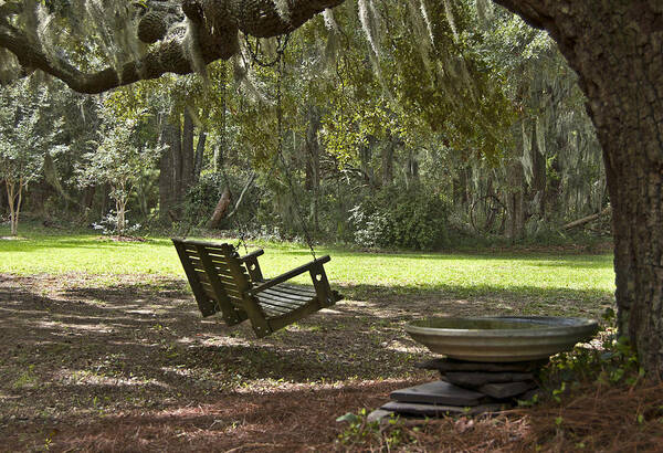 Landscape With Swing From Limb In Shade Poster featuring the photograph The Wooden Swing by Edward Shmunes