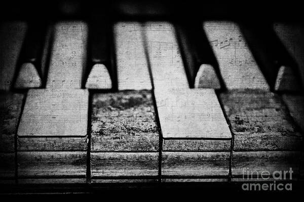 Piano Poster featuring the photograph The Worn Tunes in Black and White by Kadwell Enz