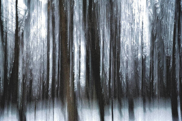Winter Poster featuring the photograph Through the woods by Steven Huszar