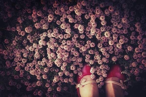 Shoes Poster featuring the photograph Thyme Carpet by Takako Fukaya