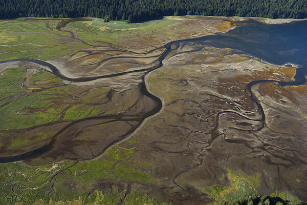 530682 Poster featuring the photograph Tidal Flat Inside Passage Alaska by Hiroya Minakuchi