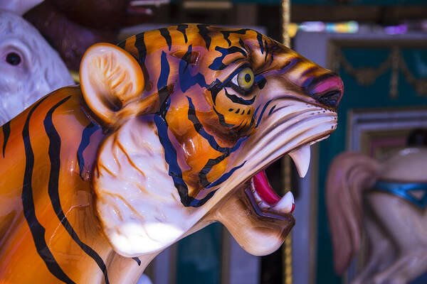 Tiger Poster featuring the photograph Tiger Carrousel Ride by Garry Gay