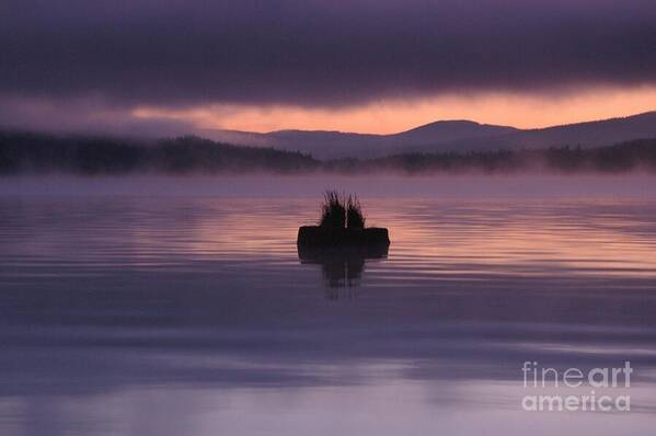 Calm Poster featuring the photograph Timothy Lake Serenity by Rick Bures