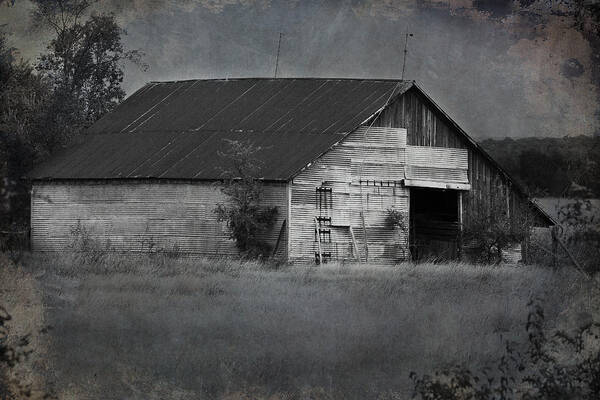 Barn Poster featuring the photograph Tin Top by Jeff Mize