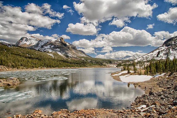 Scenic Poster featuring the photograph Tioga Lake by Cat Connor