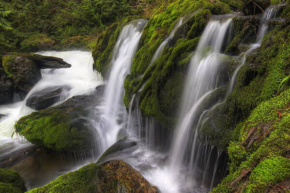 Tokul Creek Poster featuring the photograph Tokul Creek Cascades by Mark Kiver