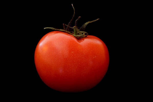 Tomato Poster featuring the photograph Tomato on Black by Jeremy Voisey