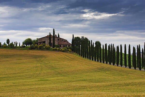 Tuscany Poster featuring the photograph Toscana by Mircea Costina Photography