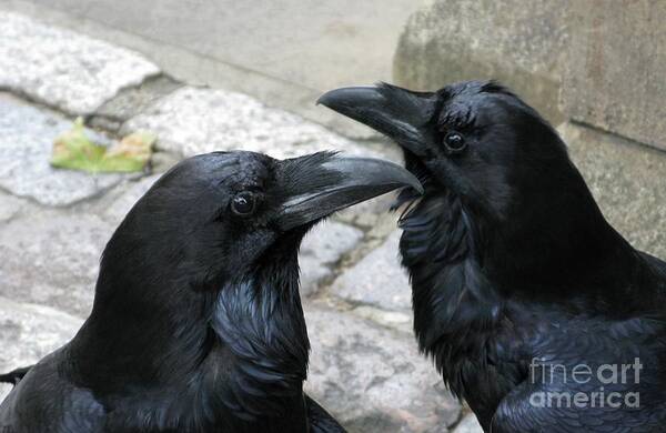 Raven Poster featuring the photograph Tower Ravens by Ann Horn