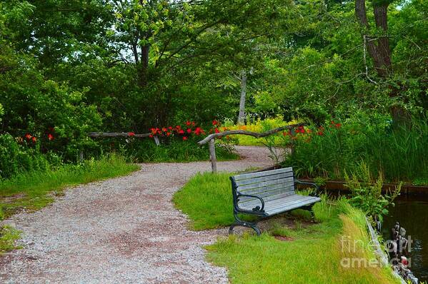 Nature Images Poster featuring the photograph Tranquility Path by Stacie Siemsen