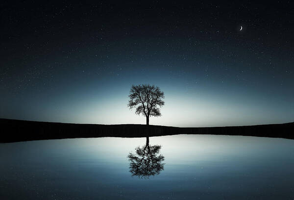 Amazing Poster featuring the photograph Tree near lake at night by Bess Hamiti