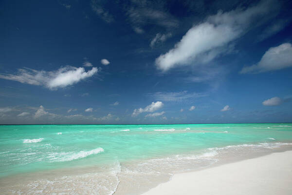 Water's Edge Poster featuring the photograph Tropical Beach Maldives by Sakis Papadopoulos