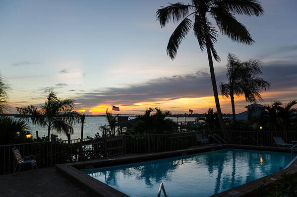 Palm Trees Poster featuring the photograph Tropical Sunrise by Margaret Pitcher