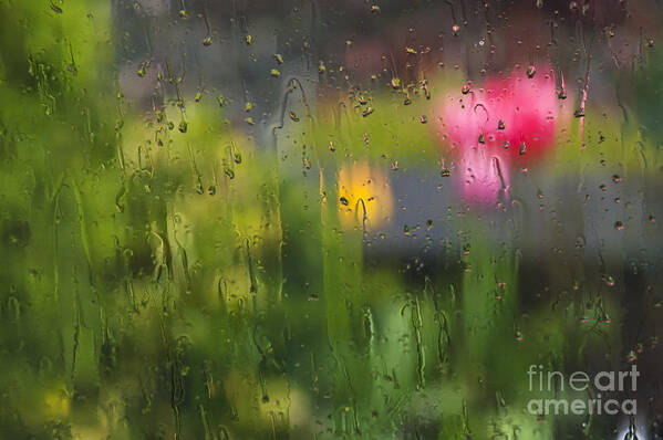 Spring Poster featuring the photograph Tulips Through the Rain by Maria Janicki