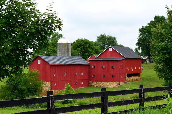 Red Poster featuring the photograph Two Red Barns by Cathy Shiflett