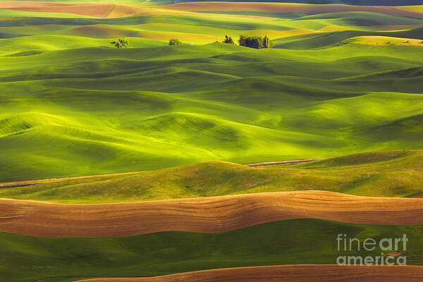 Country Poster featuring the photograph Undulation by Beve Brown-Clark Photography