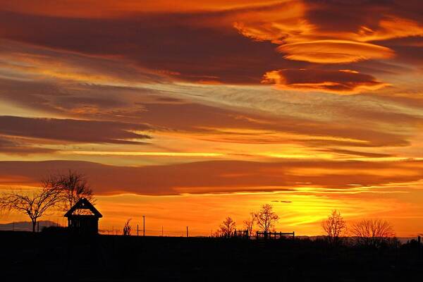 Sunset Poster featuring the photograph Unique sunset by Lynn Hopwood