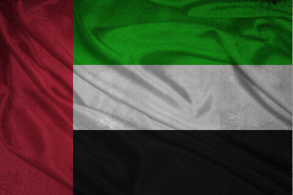 Country Poster featuring the digital art United Arab Emirates flag waving on canvas by Eti Reid