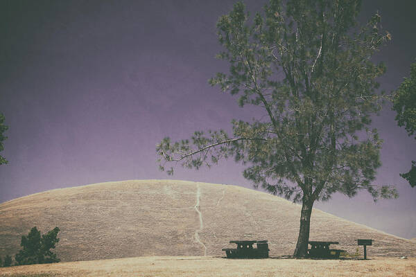 Contra Loma Regional Park Poster featuring the photograph Up Into the Darkening Sky by Laurie Search