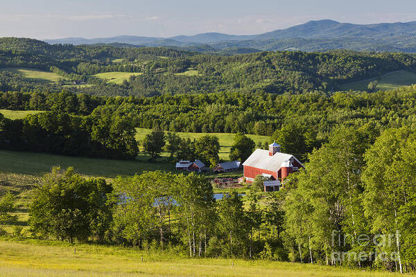 Summer Poster featuring the photograph Vermont Summer Landscape by Alan L Graham