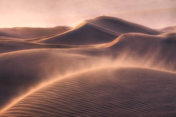 Desert Poster featuring the photograph Viento De Arena by Inigo Cia