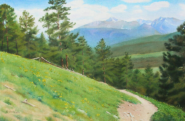 Rocky Mountain National Park Poster featuring the painting View from Deer Mountain by Daniel Dayley