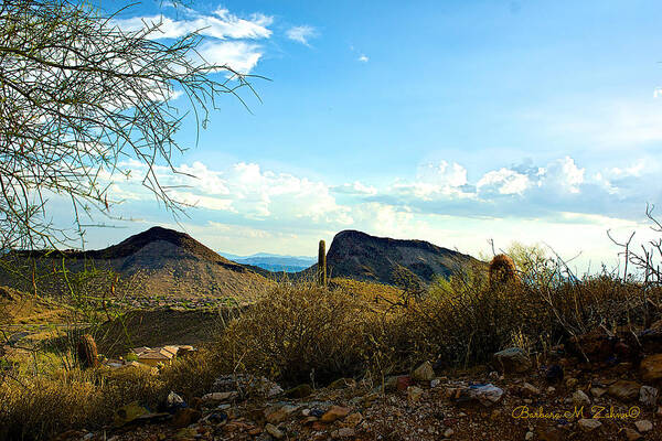 Arizona Poster featuring the photograph View from the top by Barbara Zahno