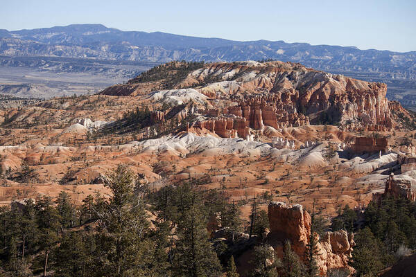 Bryce Canyon National Park Poster featuring the photograph View of Canyon by Ivete Basso Photography