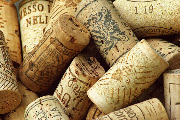 Corks Poster featuring the photograph Vino by Judy Salcedo