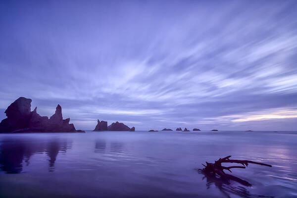 Purple Poster featuring the photograph Violet Vista by Jon Glaser