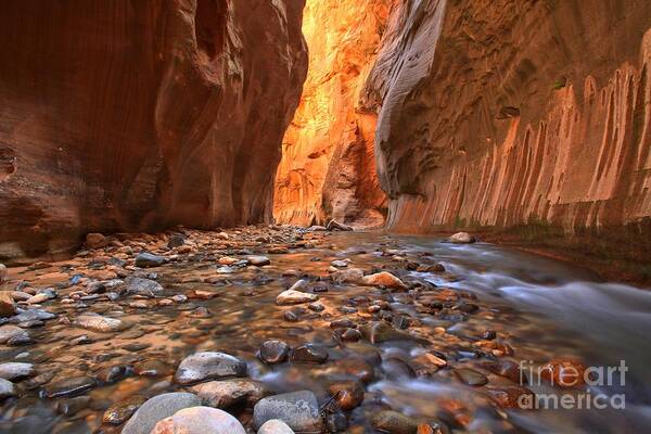 Zion Narrows Poster featuring the photograph Virgin River Rocks by Adam Jewell