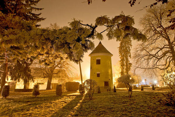 Croatia Poster featuring the photograph Vrbovec winter night scene in park by Brch Photography