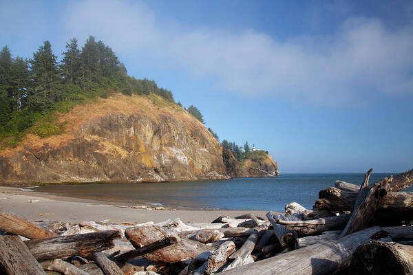 1856 Poster featuring the photograph Wa, Cape Disappointment State Park by Jamie and Judy Wild