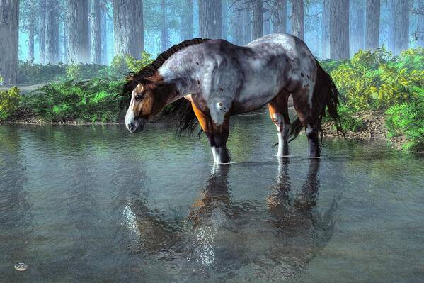 Wading Horse Poster featuring the digital art Wading Horse by Daniel Eskridge