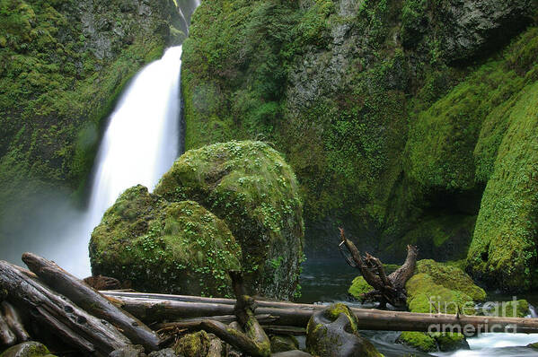Columbia River Poster featuring the photograph Wahclella Falls and Boulder by Rick Bures