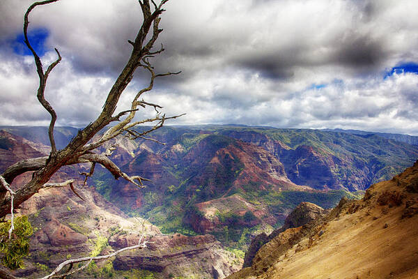 Waimea Canyon Poster featuring the photograph Waimea Canyon V4 by Douglas Barnard