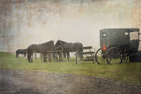 Amish Poster featuring the photograph Waiting in the Rain by Deborah Penland