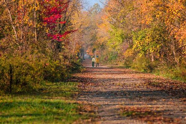 Walking Into Fall. Autumn Colors. Kids Walking. Path. Trees. Fall Leaves. Nature. Wildlife. Grasses. Photography. Print. Canvas. Digital Art. Greeting Card. Poster. Cell Phone Cover. Poster featuring the photograph Waling into Fall by Mary Timman