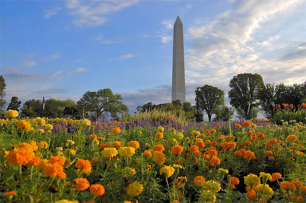 Washington Monument Poster featuring the photograph Washimgtom Monument in Spring by Michael Donahue