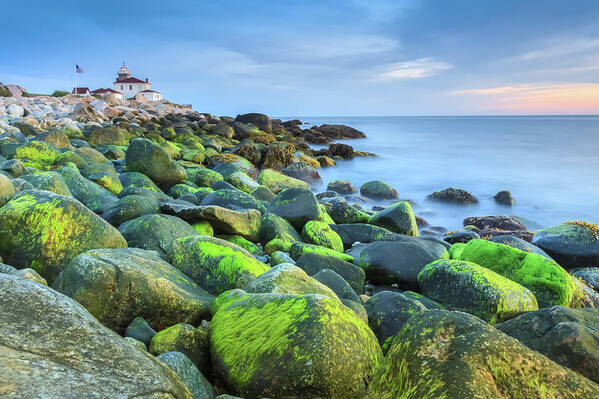 Westerly Poster featuring the photograph Watch Hill Low Tide by Enzo Figueres