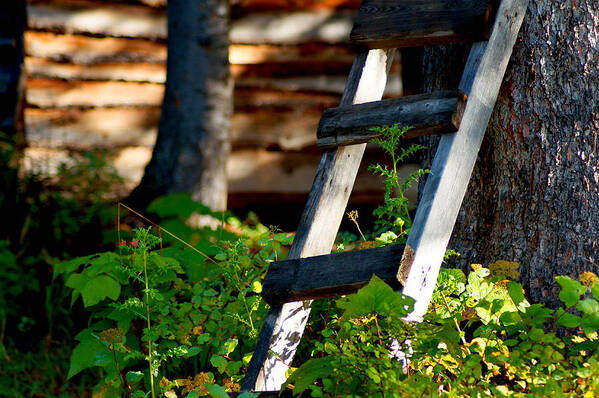 Ladder Poster featuring the photograph Watch Your Step by Anita Braconnier