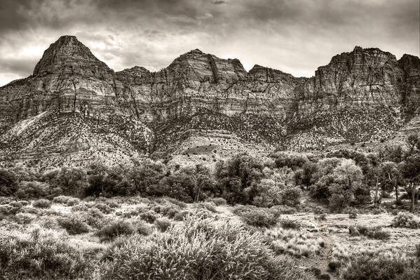Utah Poster featuring the photograph Watchman Trail in Sepia - Zion by Tammy Wetzel