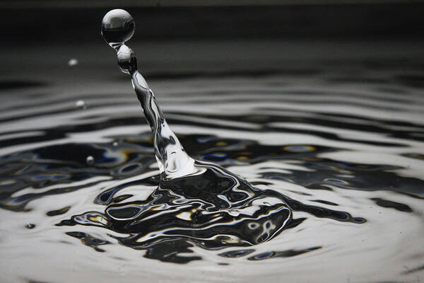 534251 Poster featuring the photograph Water Droplet by Hiroya Minakuchi