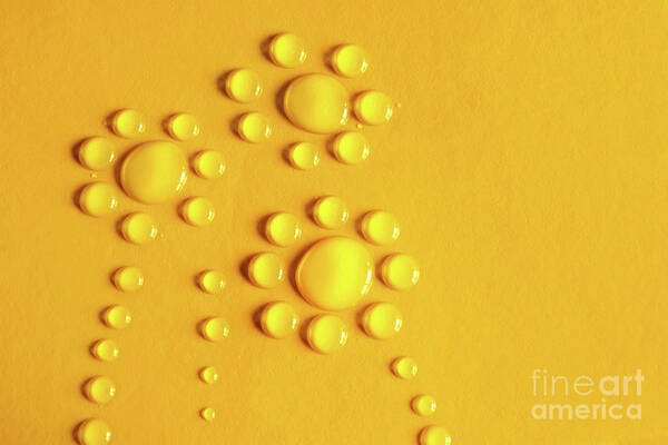 Abstract Poster featuring the photograph Water Flowers by Carlos Caetano