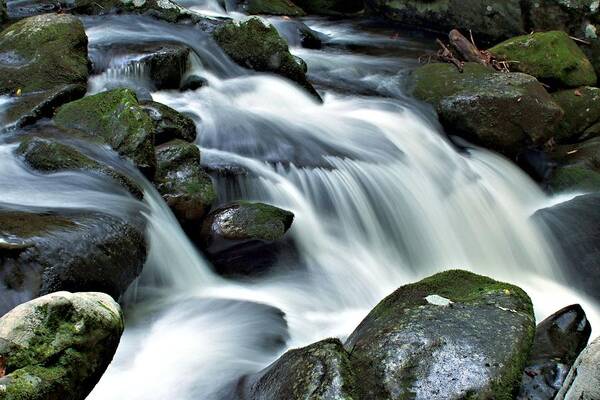 Great Smoky Mountains Poster featuring the photograph Water FlowsThrough the Mountains by Carol Montoya